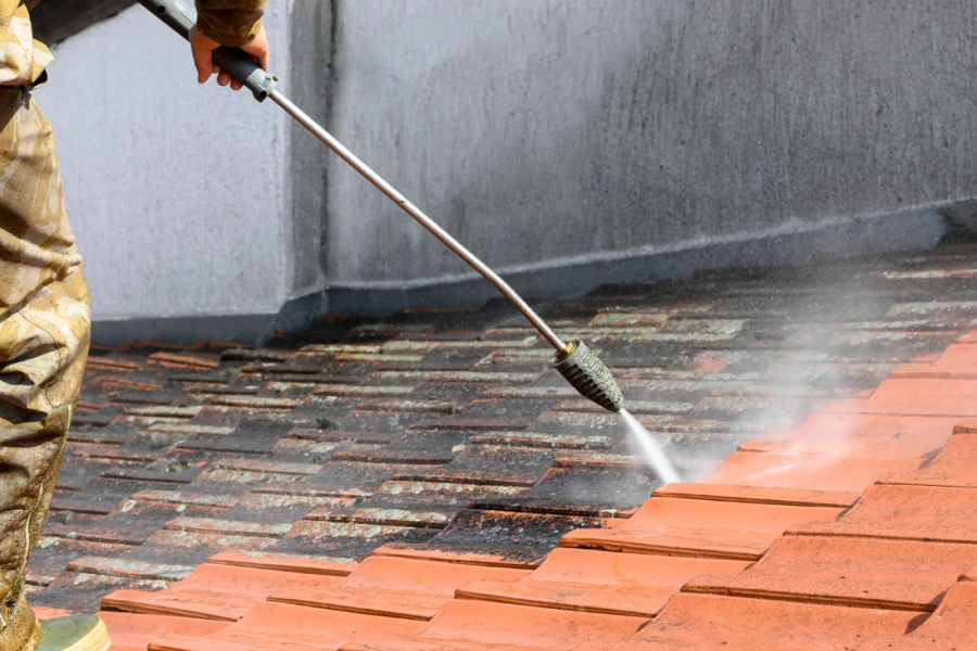 roof cleaning